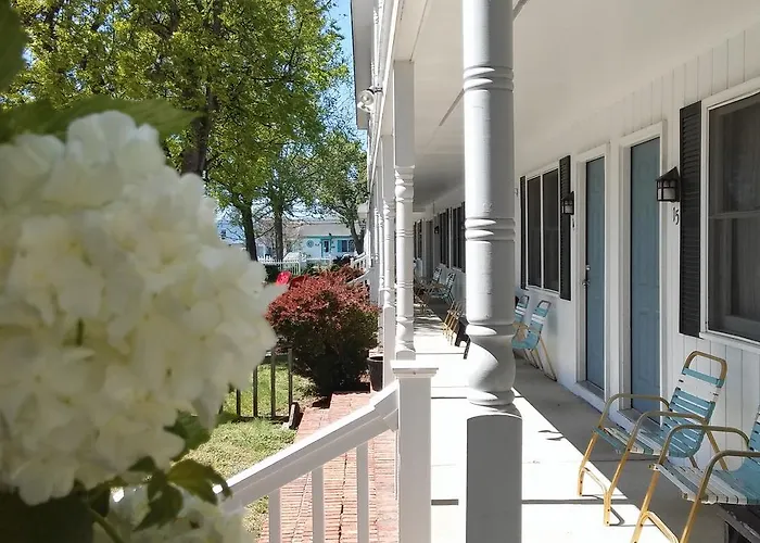 Sea Shell Motel